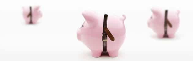 Companies across all verticals are tightening their belts in IT spending Companies across all verticals are tightening their belts in IT spending