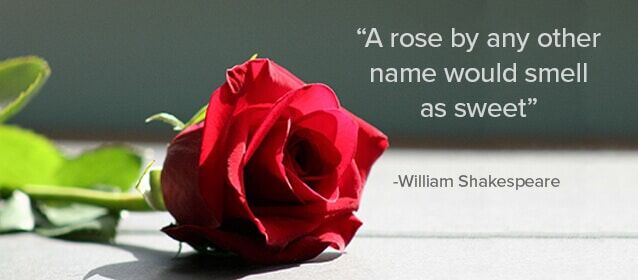 Users, Customers – What’s in a Name? Users, Customers – What’s in a Name?