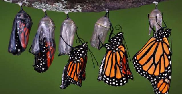 IT transformation in ITSM