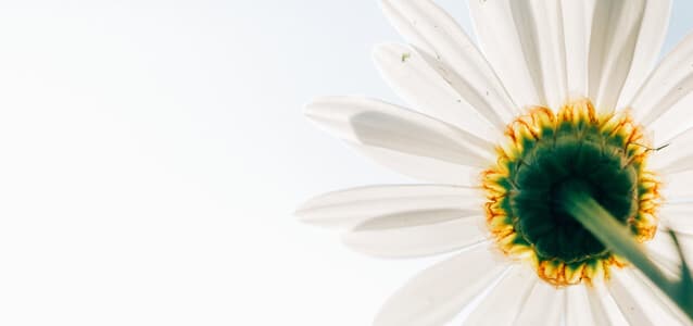Flourishing Help Desk Flourishing Help Desk