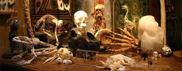 ITSM Evolution and How to Keep IT from Going Extinct ITSM Evolution and How to Keep IT from Going Extinct